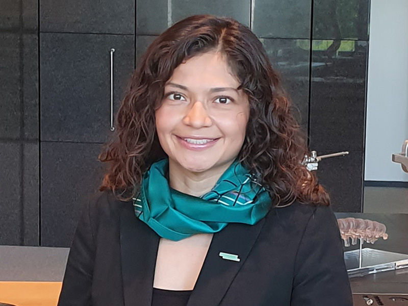 Lourdes Flores, consultora de sets virtuales