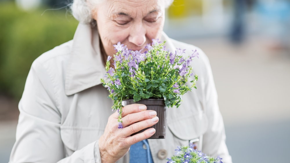 una mujer mayor huele a una planta floreciente