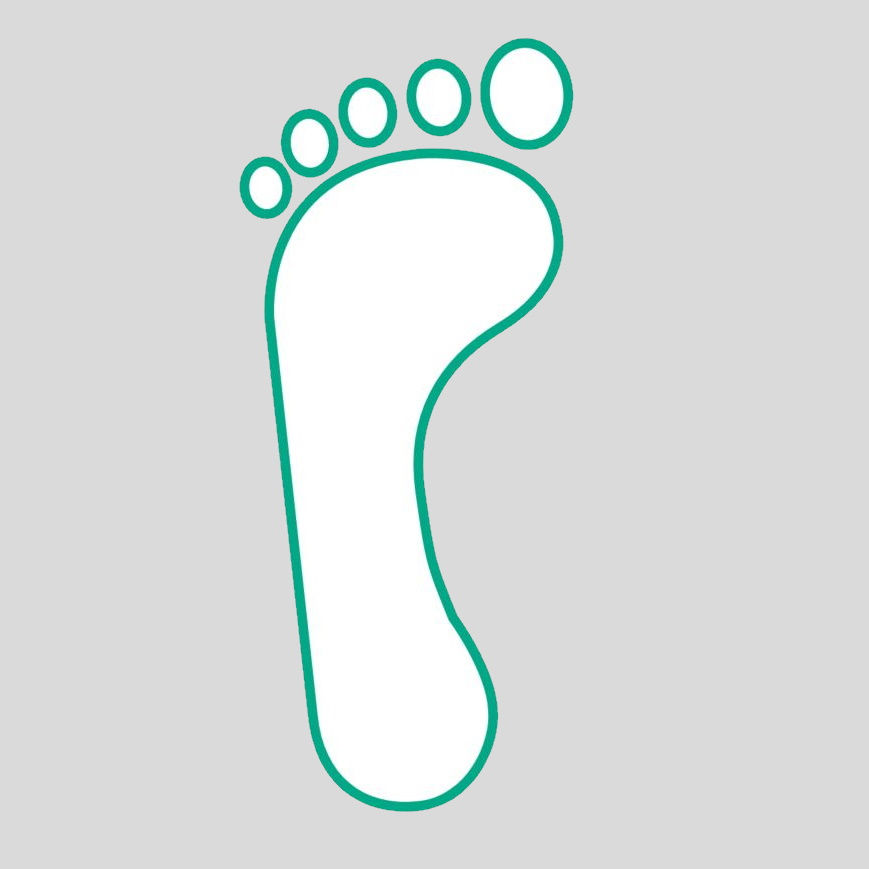 ilustración del pie