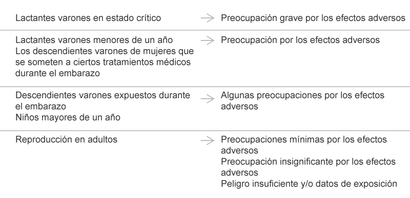 Conclusion of the “National Toxicology Program” regarding the possibilities that human development or reproduction might be adversely affected by exposure to DEHP.