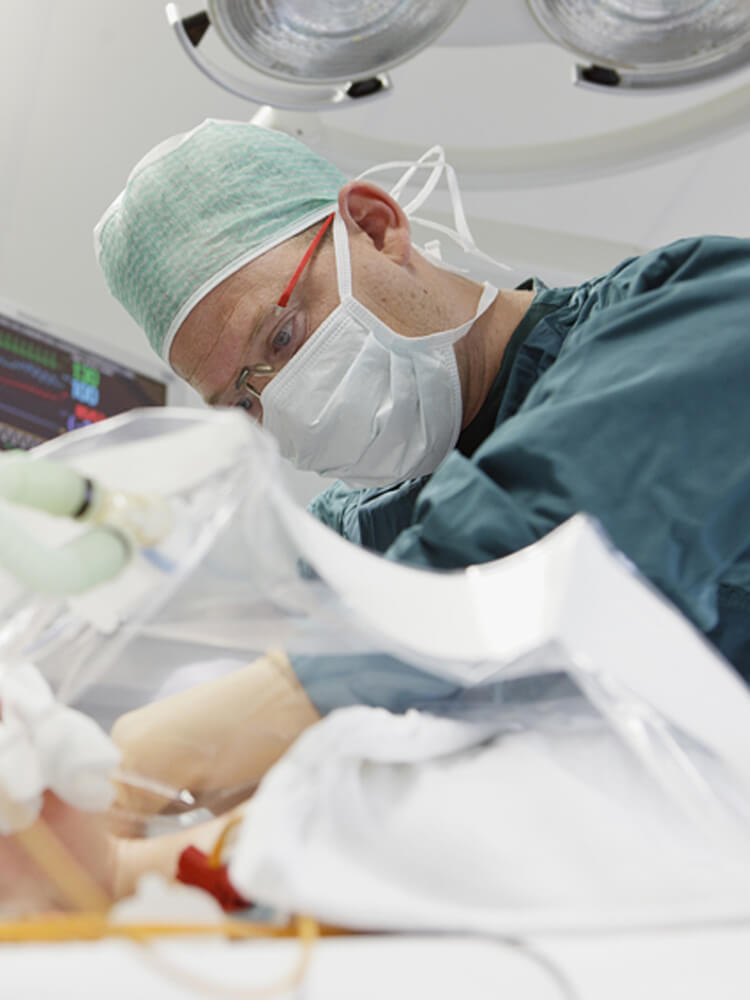 Eric Koomen, Utrecht, Países Bajos